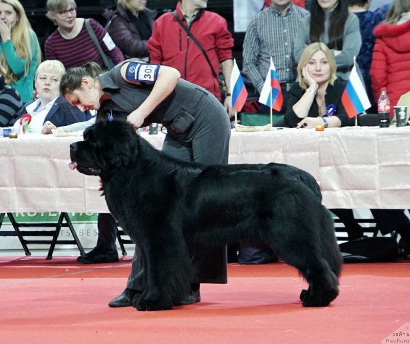 Фотография № 233505