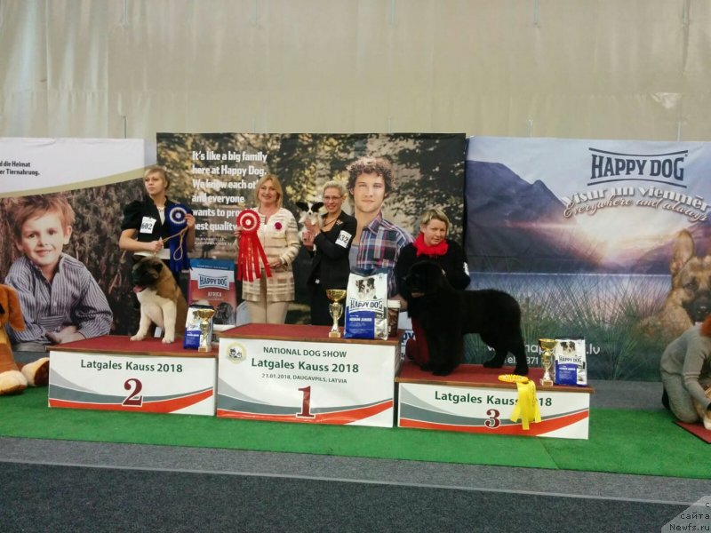 Фотография № 233509