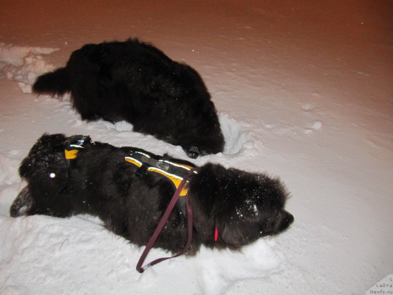 Фотография № 233513