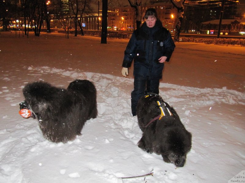 Фотография № 233516