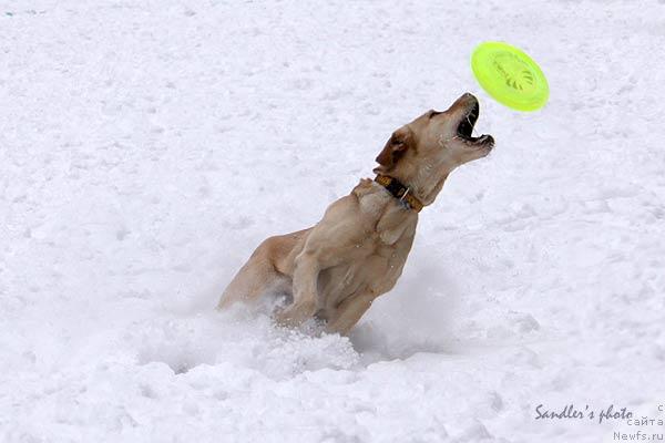 Фото: Tat'yana Burceva (Татьяна Бурцева)