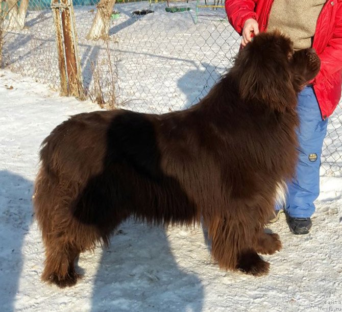 Фотография № 233563