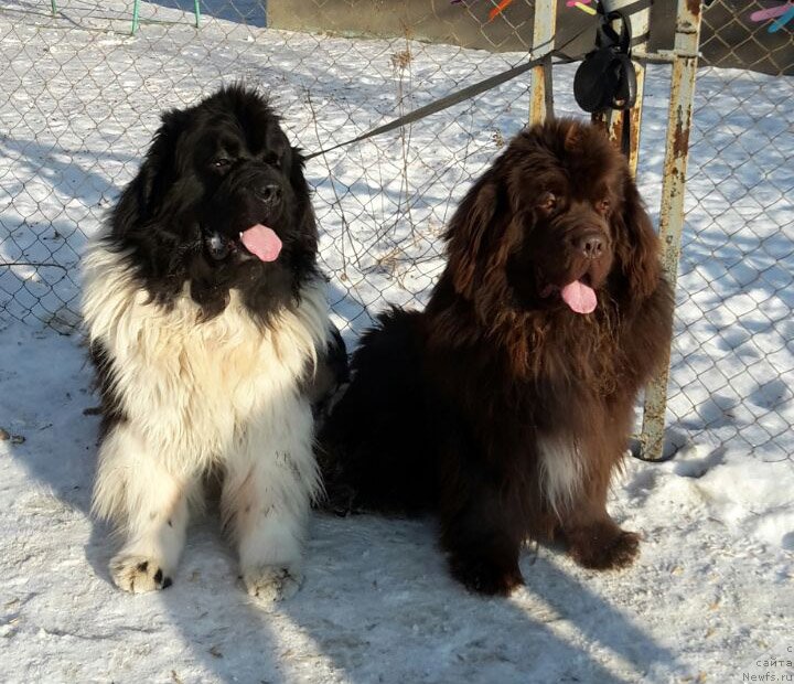 Фотография № 233569