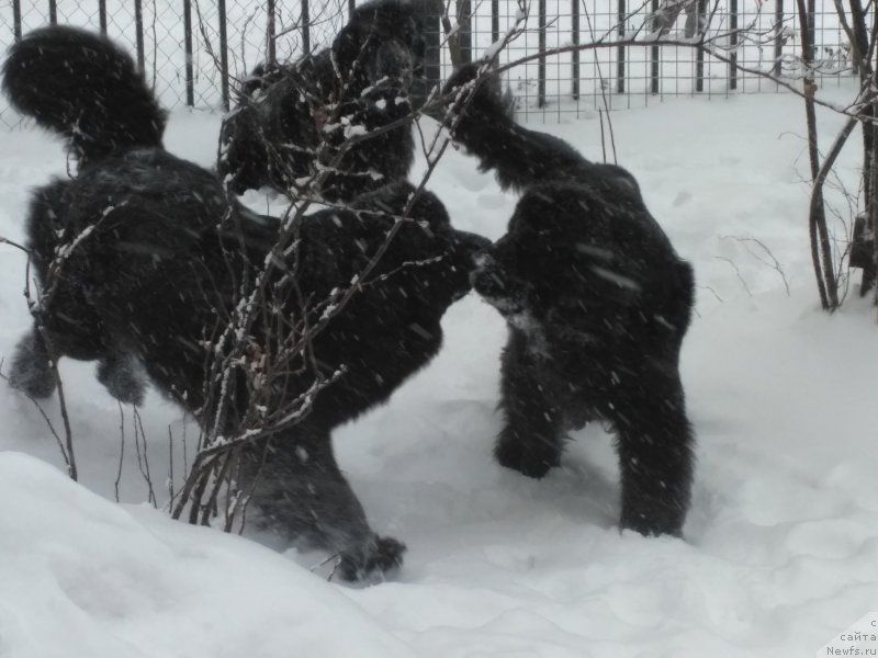 Фотография № 233581