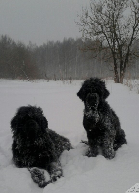 Фотография № 233582