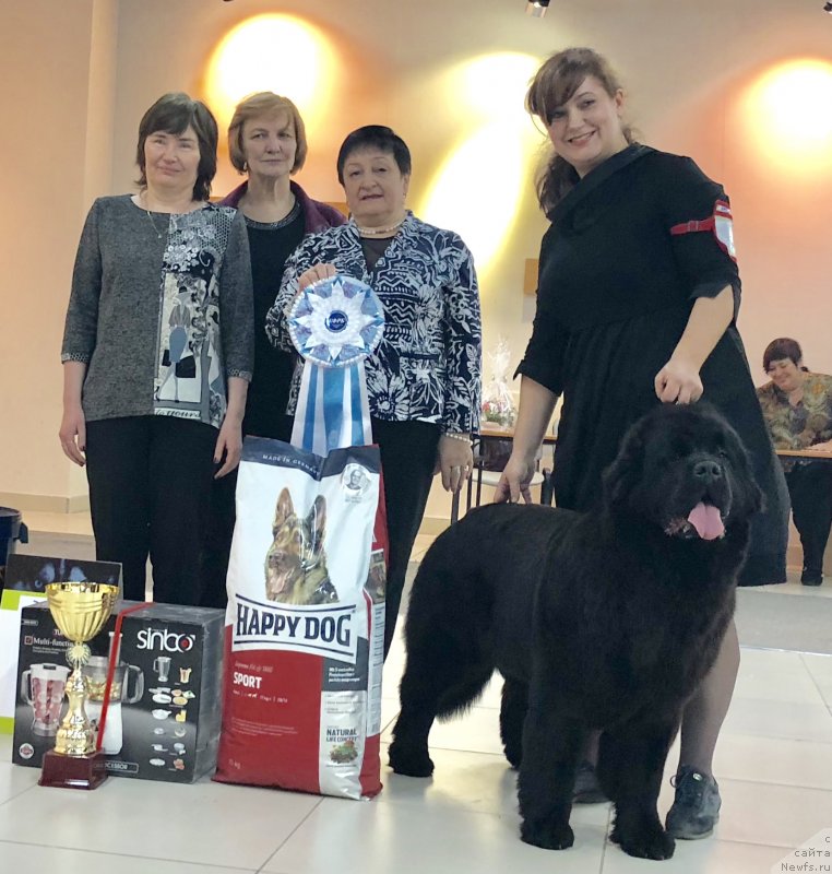 Фотография № 233598