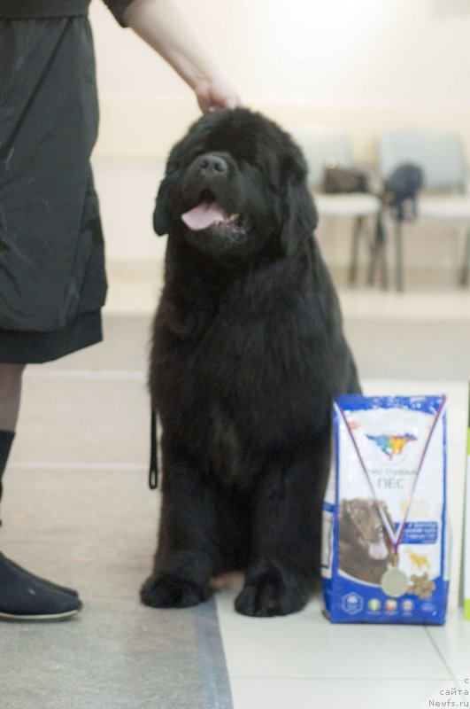 Фотография № 233600