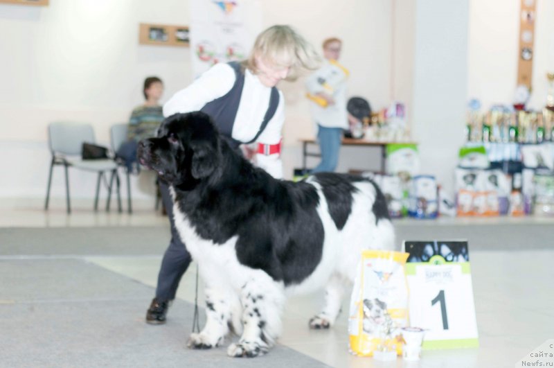 Фотография № 233602