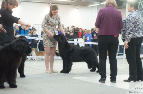 Фотография № 233606