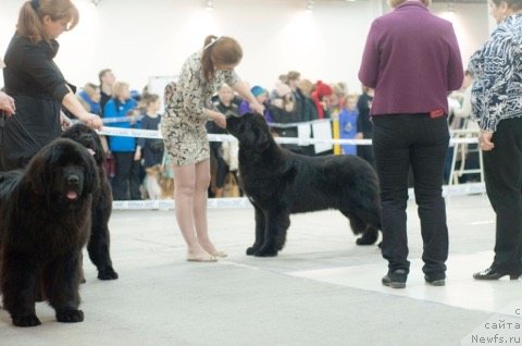 Фотография № 233607