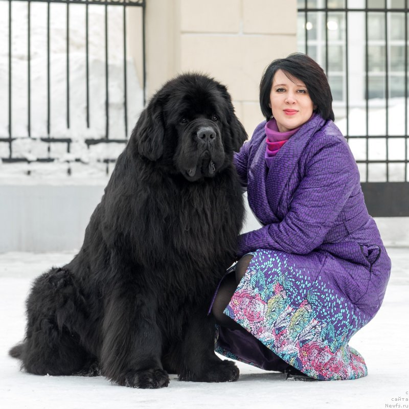 Фотография № 233610