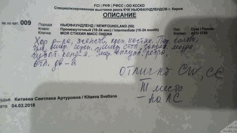 Фотография № 233625