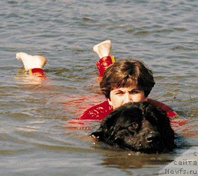 Фотография № 23376