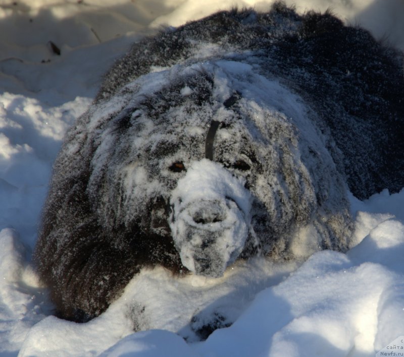 Фотография № 233760