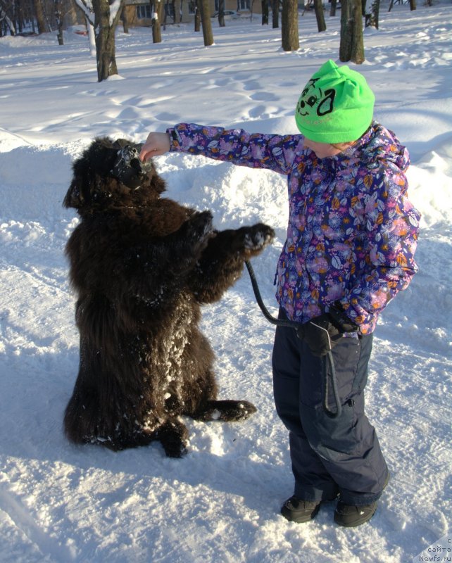 Фотография № 233761