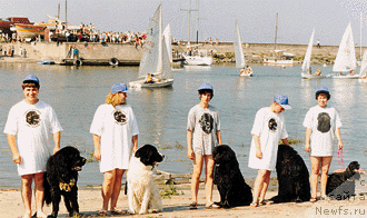 Фотография № 23377