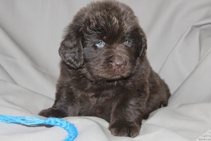 Фотография № 233804