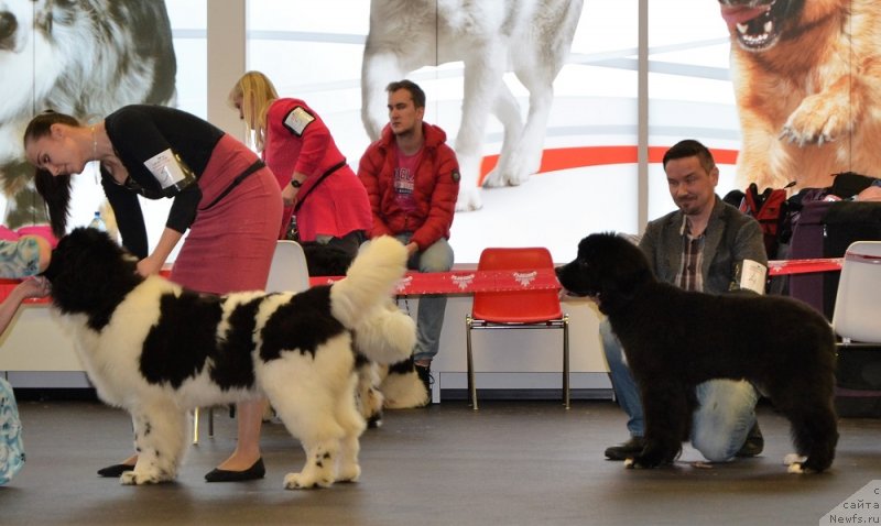 Фотография № 233815