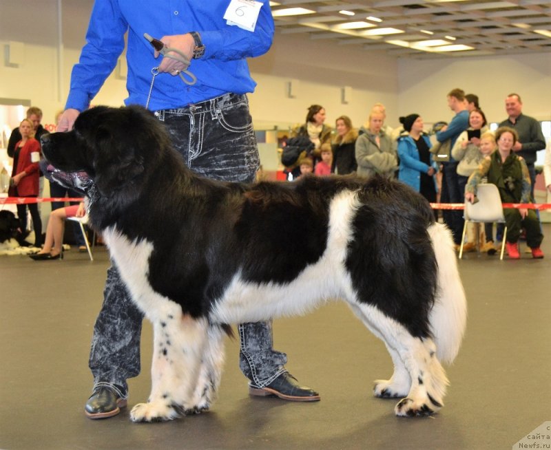 Фотография № 233821