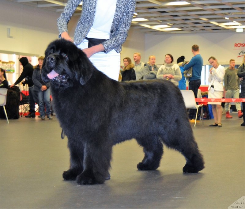 Фотография № 233826