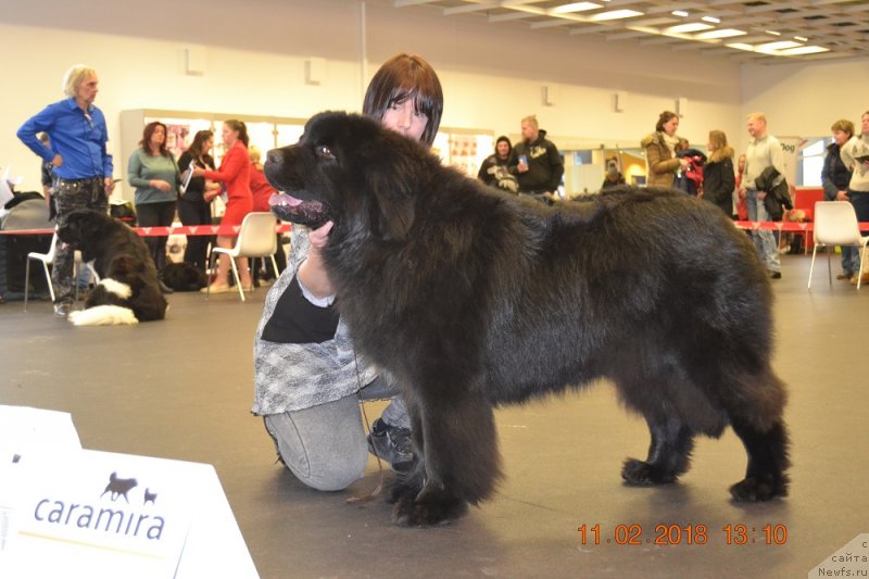 Фотография № 233830