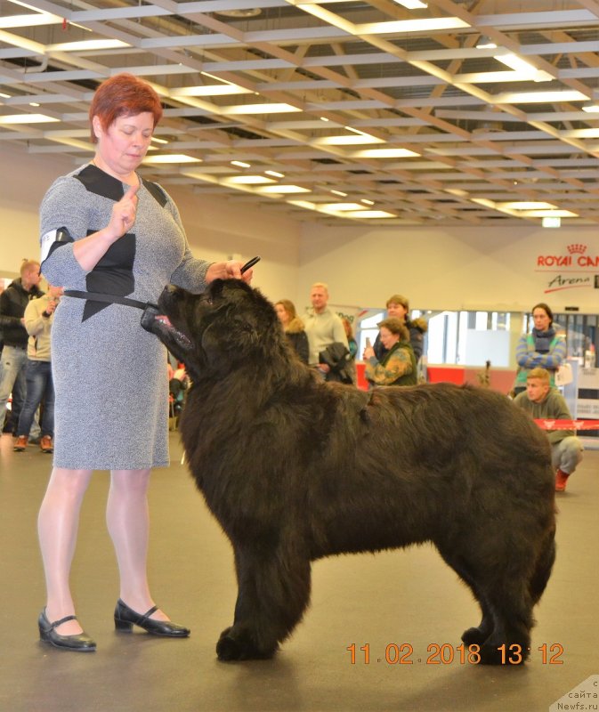 Фото: SAKALA DESPERADO