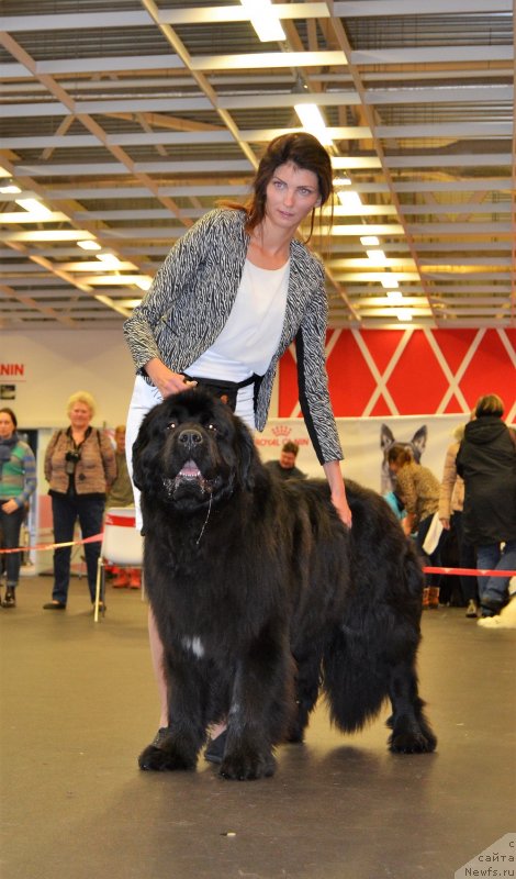 Фотография № 233833