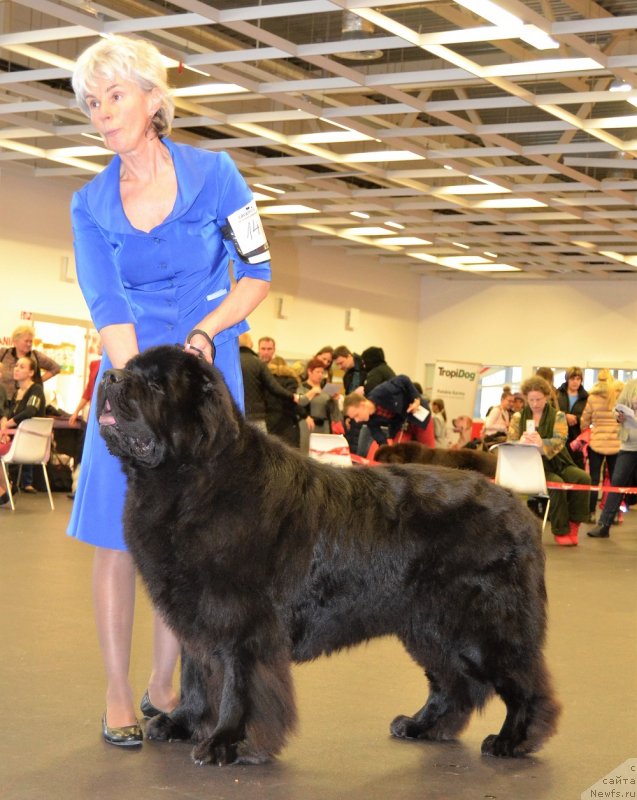 Фотография № 233834