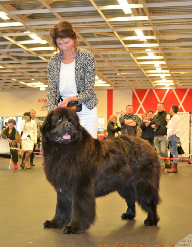 Фотография № 233835