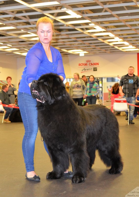 Фото: PRIVATE CAST THIS IS ABOUT ME