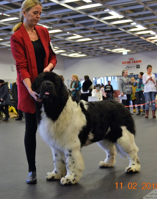 Фотография № 233838