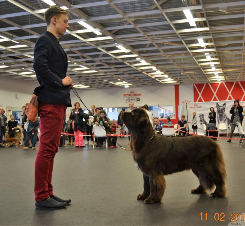 Фотография № 233843