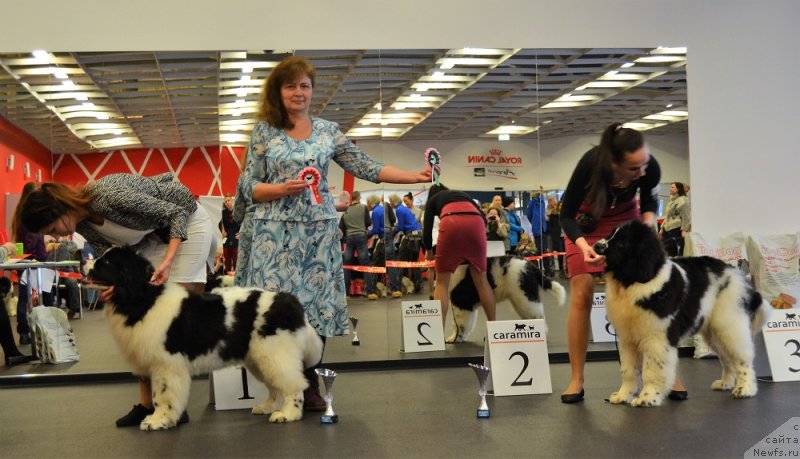 Фотография № 233844