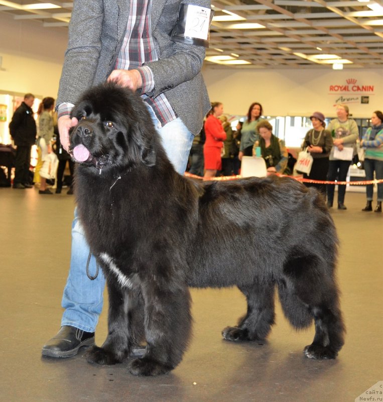 Фотография № 233845