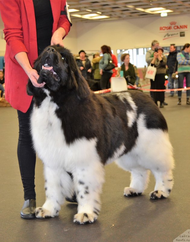 Фотография № 233846