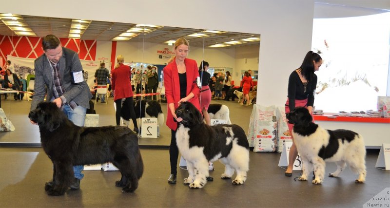 Фотография № 233848