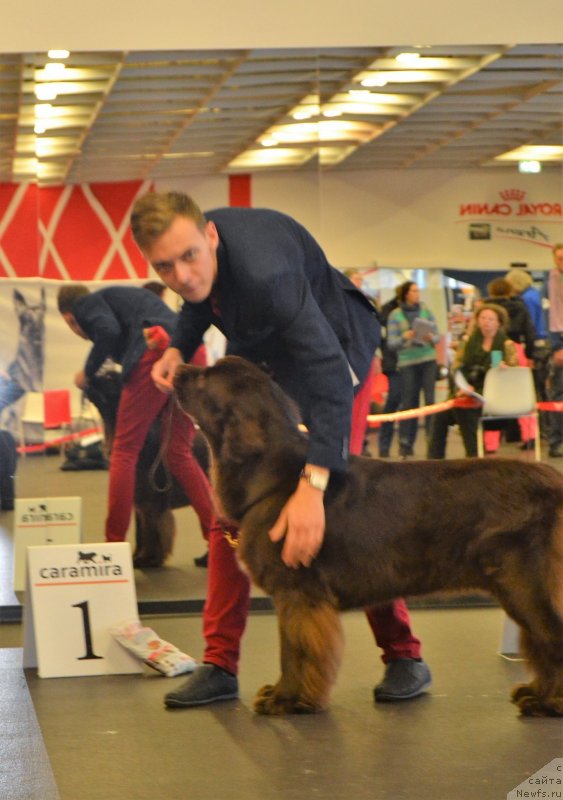 Фотография № 233851