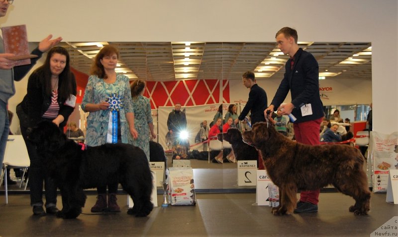 Фотография № 233856