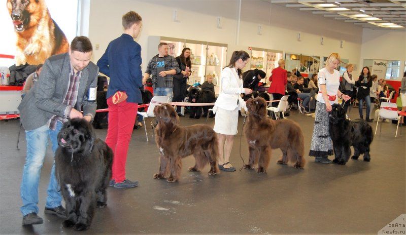 Фотография № 233857