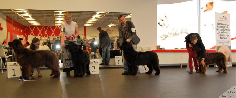 Фотография № 233858