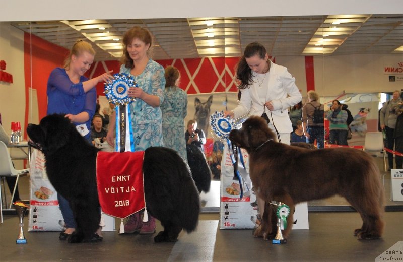 Фотография № 233860