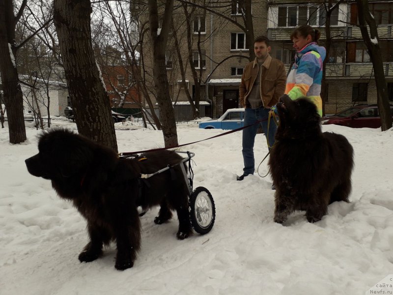 Фотография № 233885