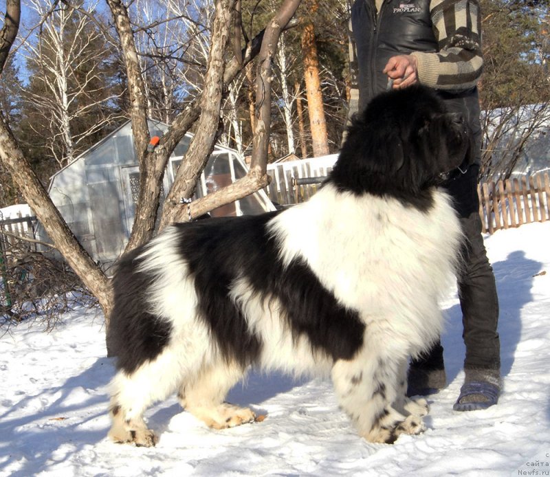 Фотография № 233895