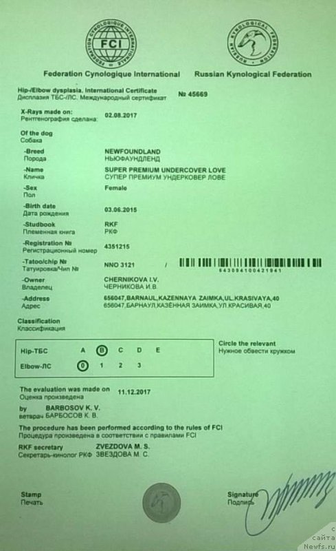 Фотография № 233923