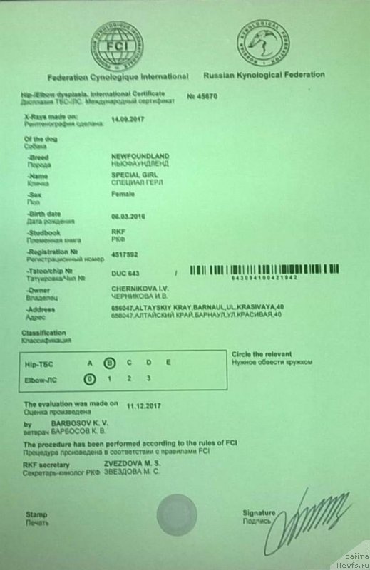 Фотография № 233924