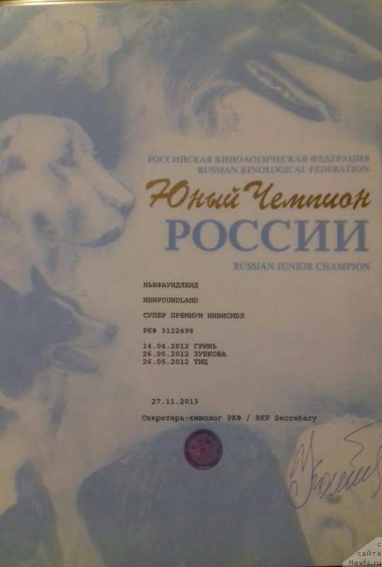 Фото: ньюфаундленд Super Premium Invisible (Супер Премиум Инвисибл), ньюфаундленд Super Premium Invisible (Супер Премиум Инвисибл)