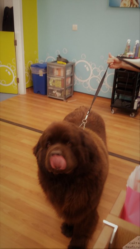 Фотография № 233933