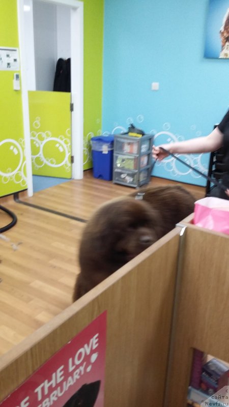 Фотография № 233934