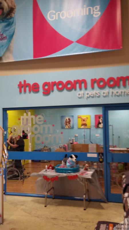 Фотография № 233935