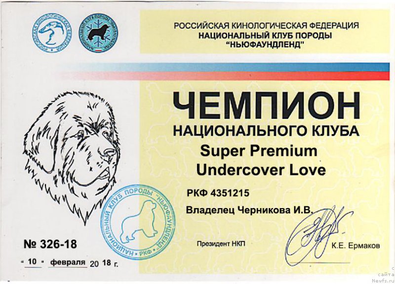 Фотография № 233938